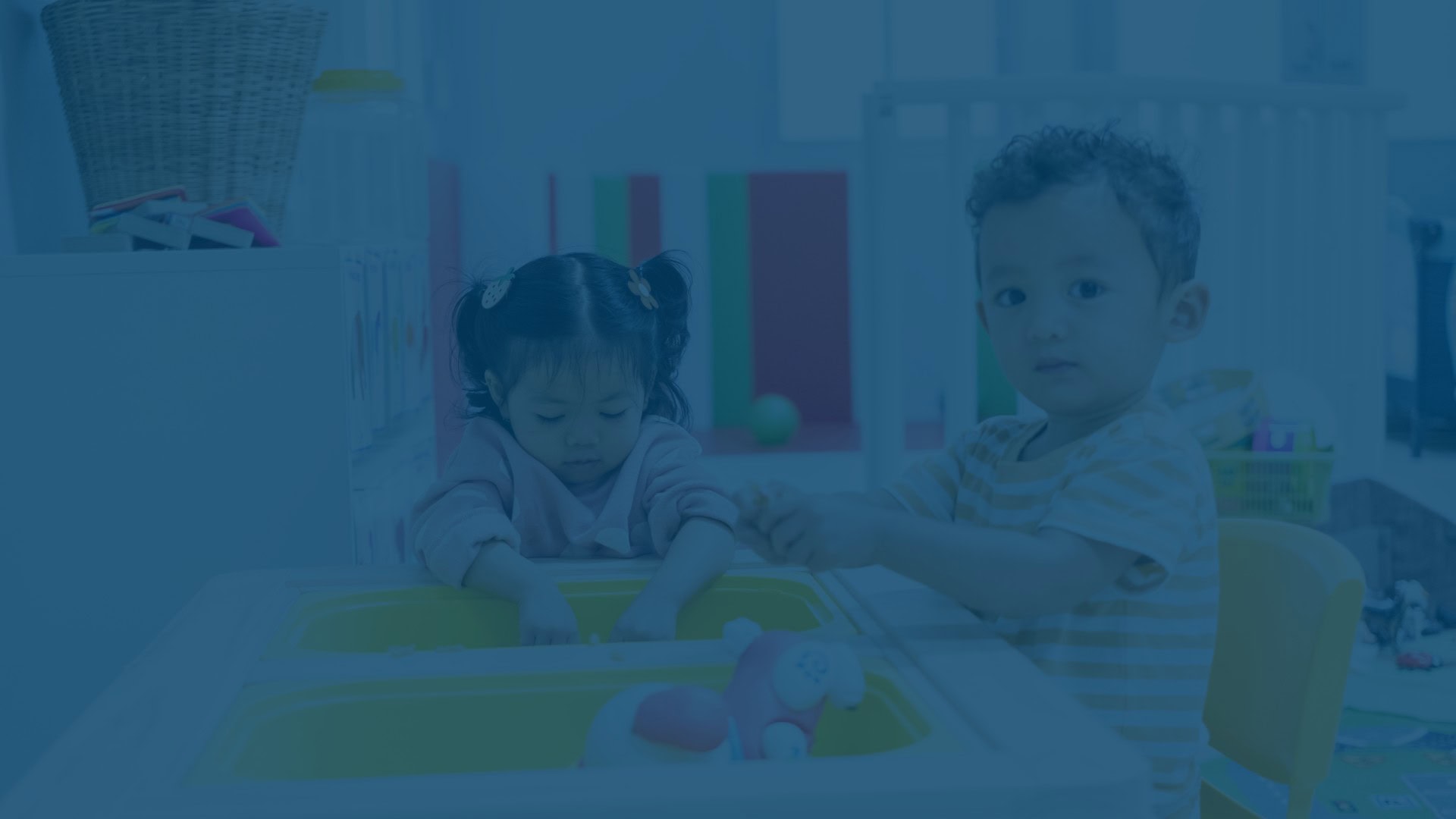 Cambridge Attributes