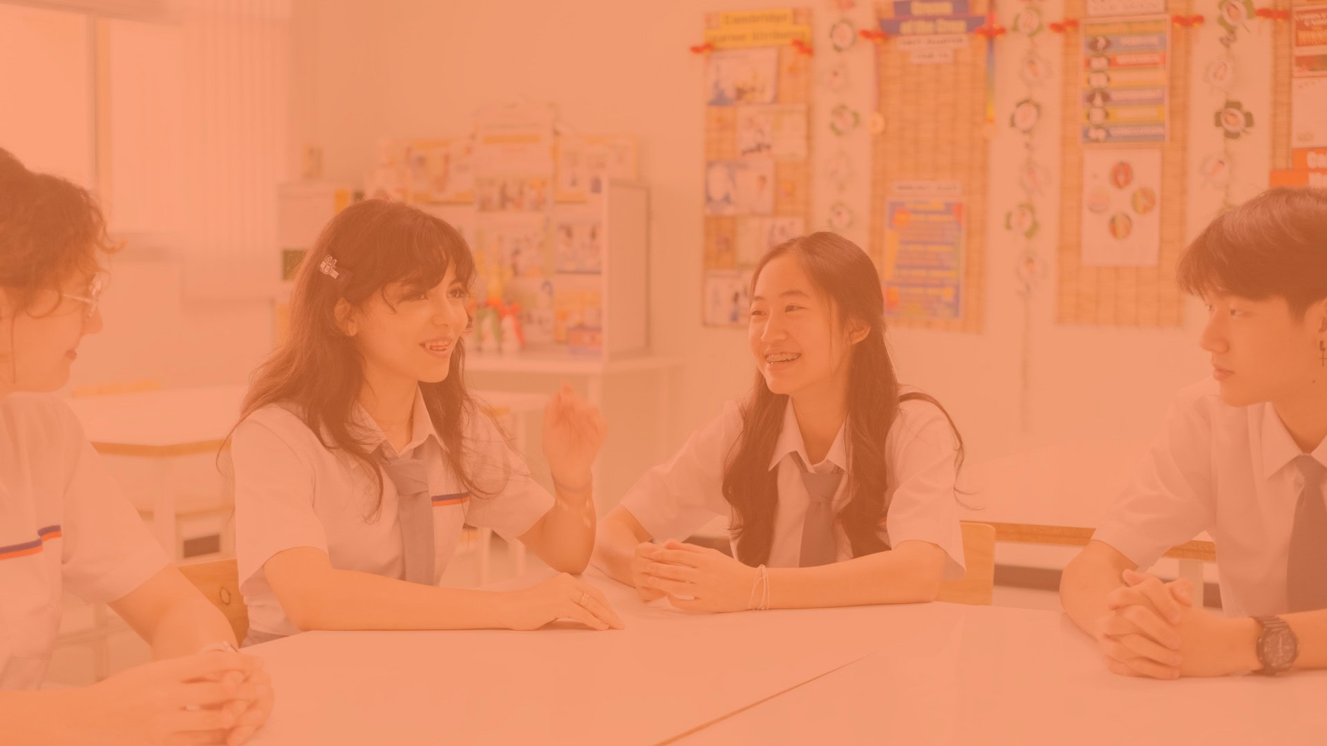 Cambridge Attributes